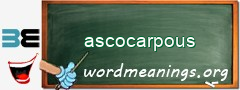 WordMeaning blackboard for ascocarpous